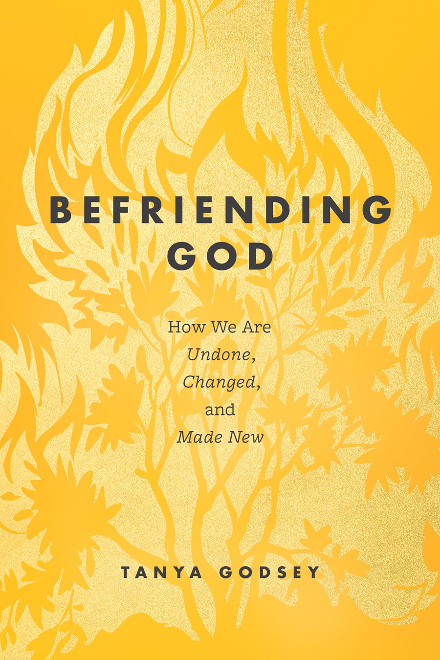 Befriending God by Tanya Godsey book cover